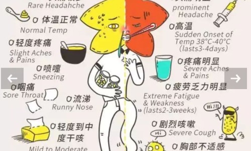 天津中新药业集团股份有限公司第六中药厂-中新药业天津第六中药厂 交通网-分享天津中新药业集团股份有限公司第六中药厂，天津中新药业六味地黄丸知识库